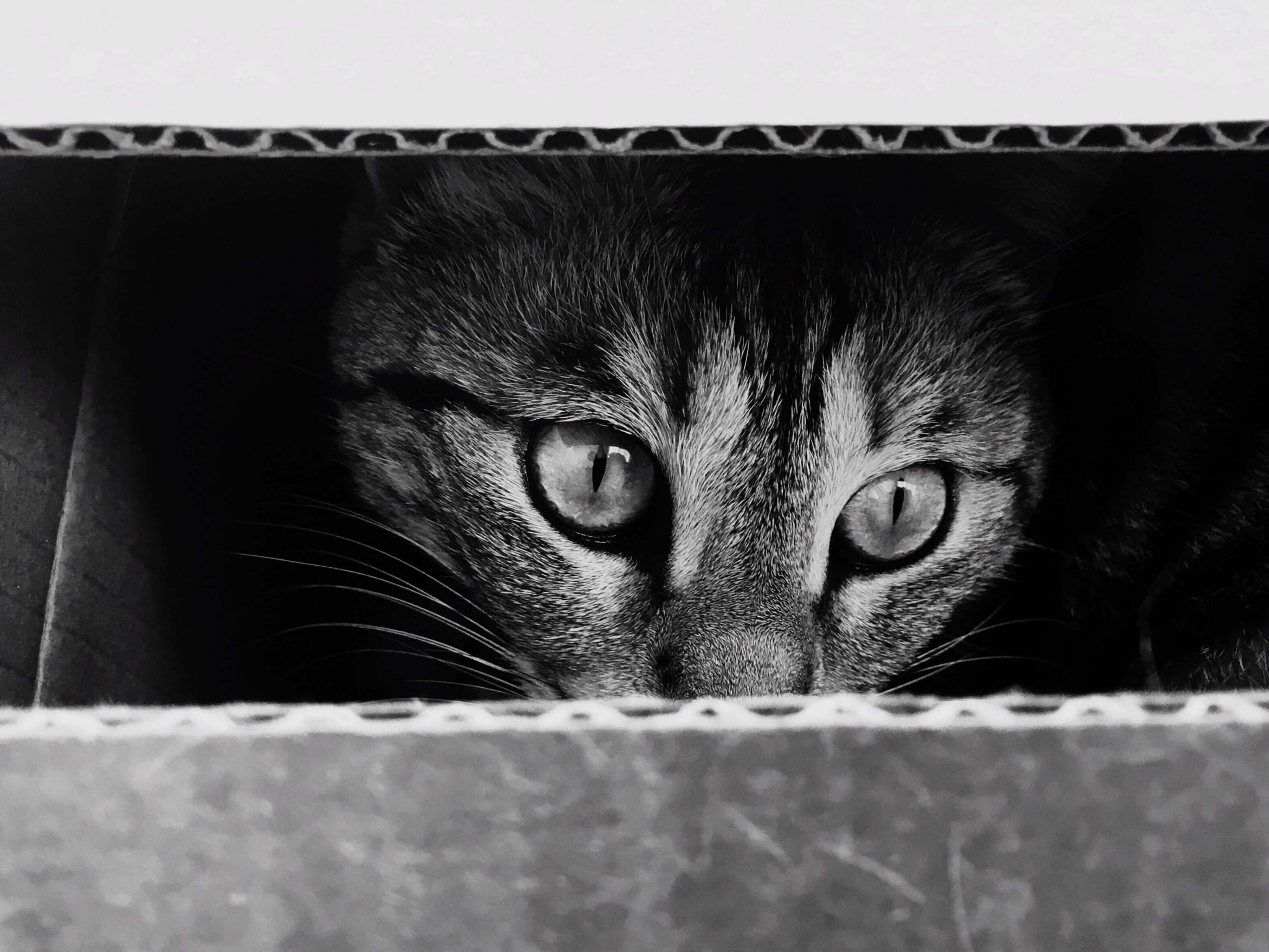 Analog photograph from Evren Ucar archive 20