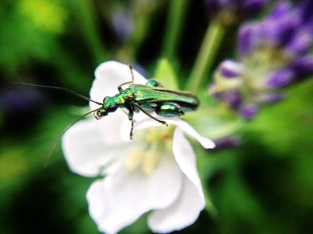 Analog photograph from Evren Ucar archive 10