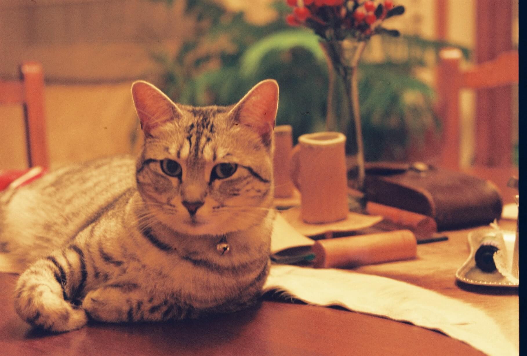 Analog photograph from Evren Ucar archive 02