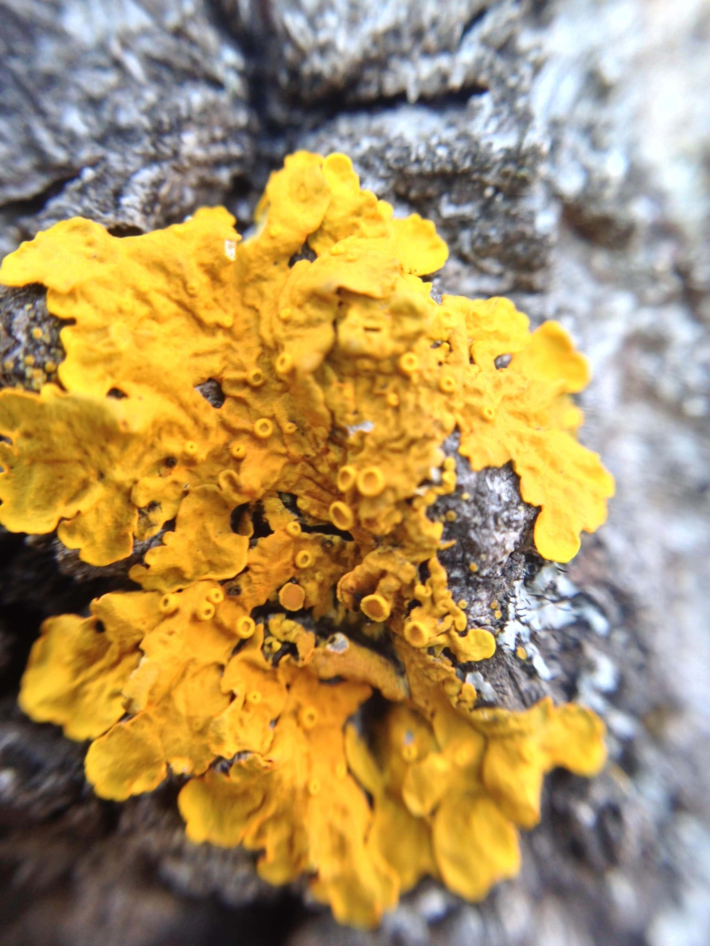 Analog photograph from Evren Ucar archive 12