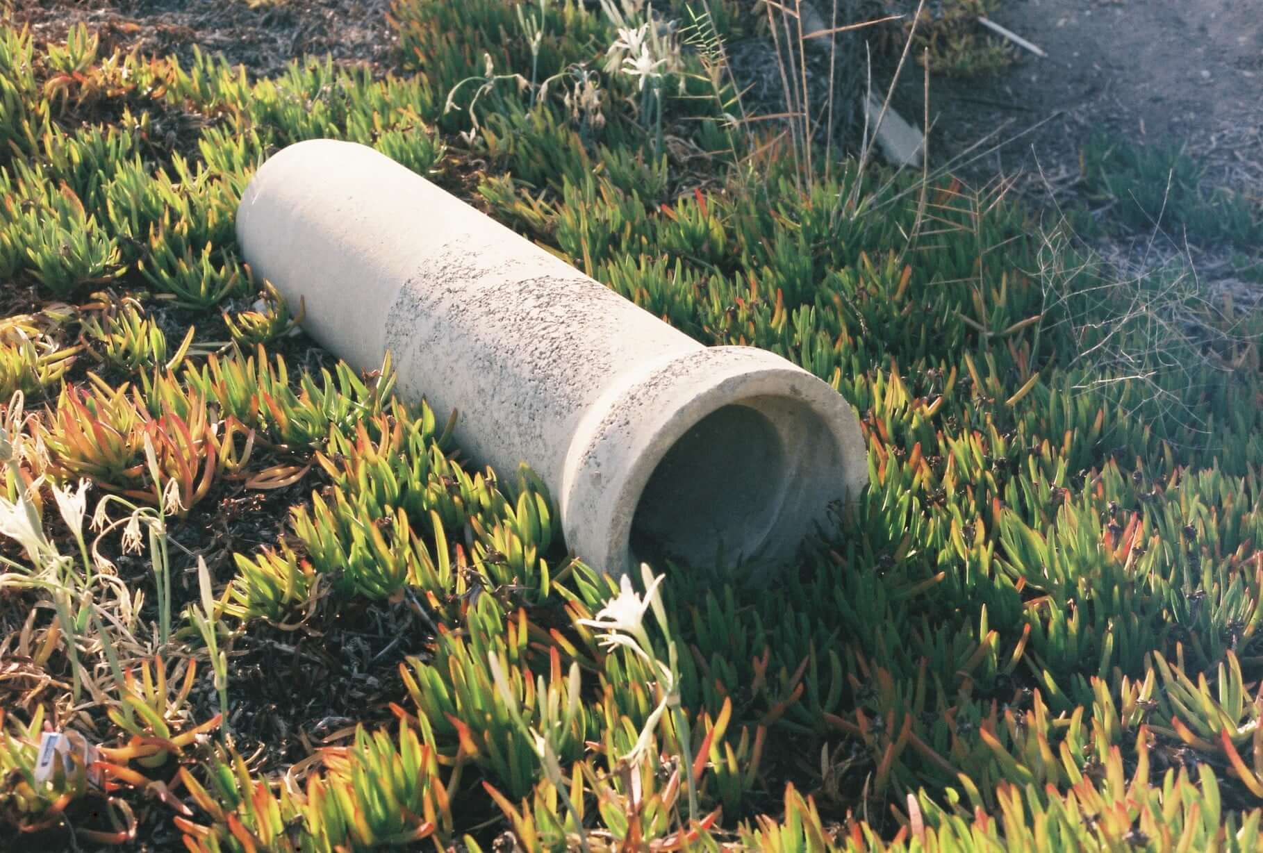 Analog photograph from Evren Ucar archive 13