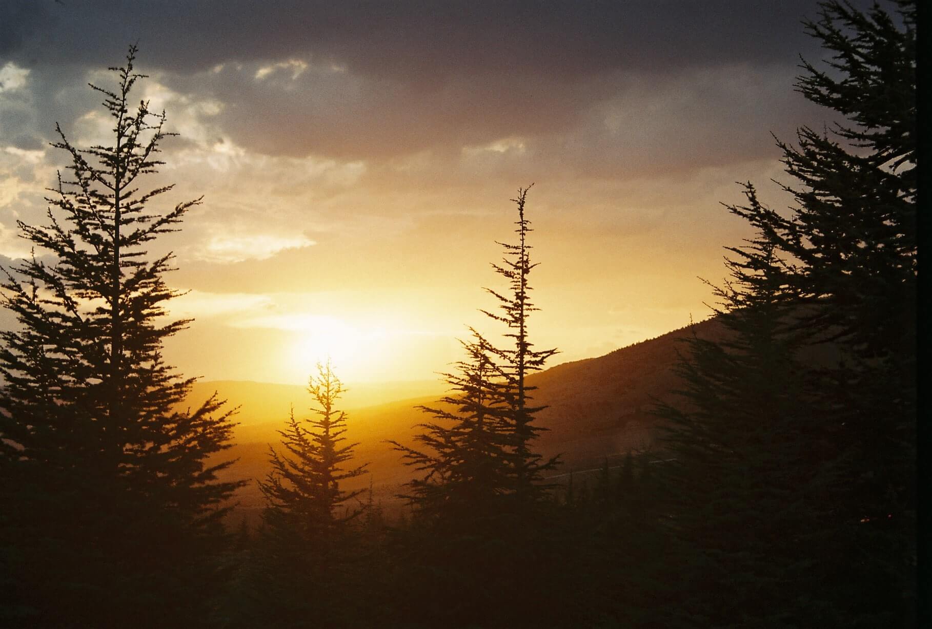 Analog photograph from Evren Ucar archive 15